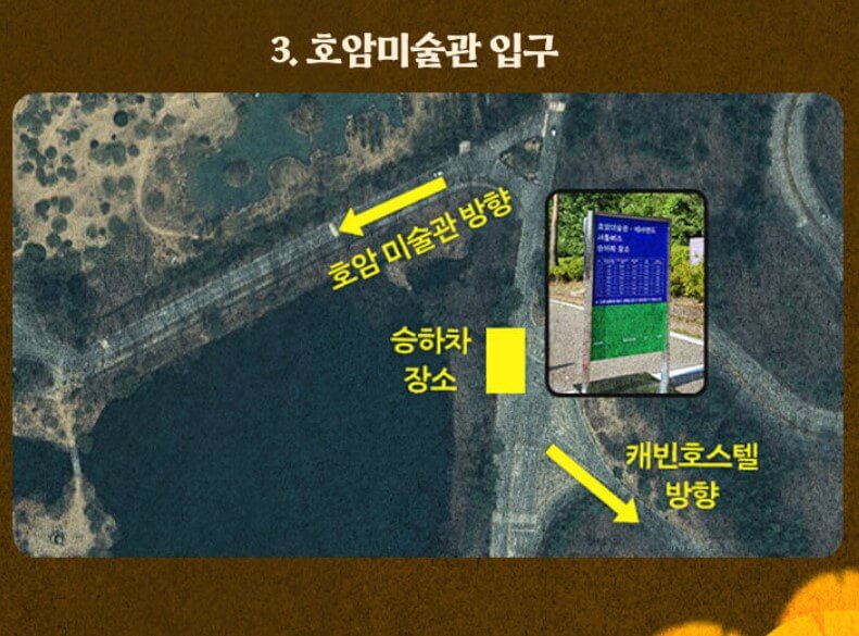 에버랜드 은행나무숲 예약하기