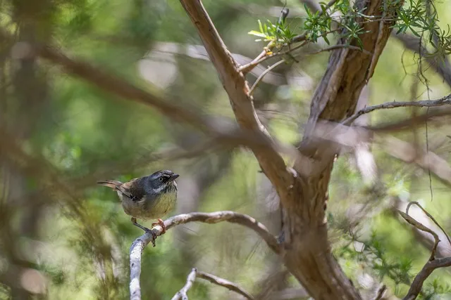 수세미 재배 덩굴 유인 통풍 관리 수확 건조_8
