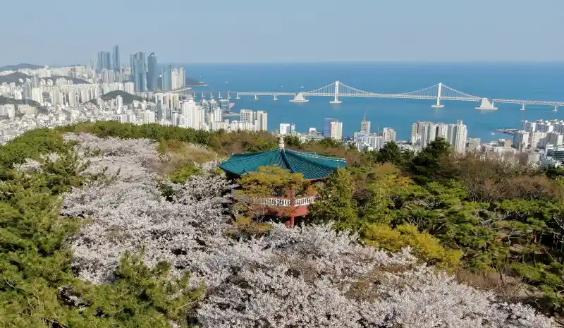 황령산 사진