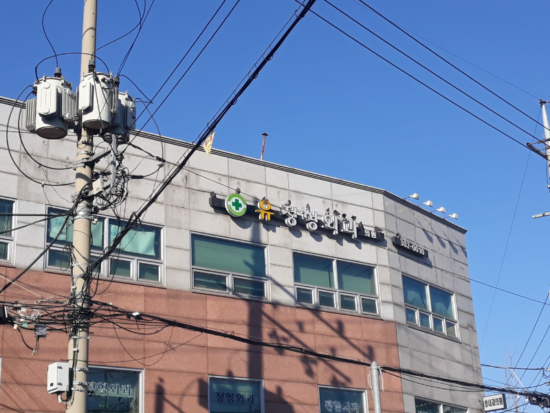 은평구 응암2동 정형외과 유명하고 잘하는 곳 추천 TOP 5