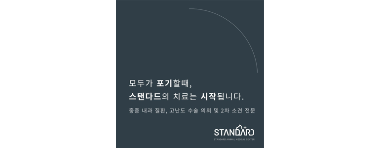 서울 송파구 동물병원