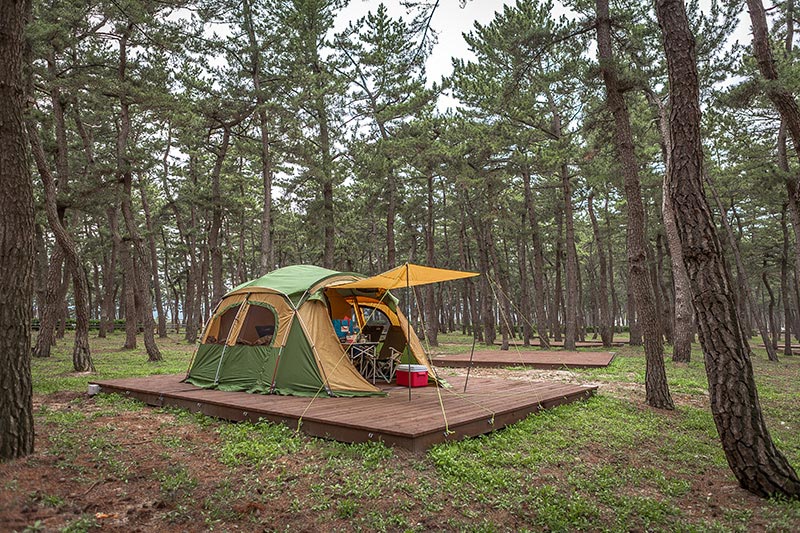 연곡솔향기캠핑장