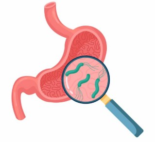 헬리코박터-파일로리-의심-신호-검사-가이드