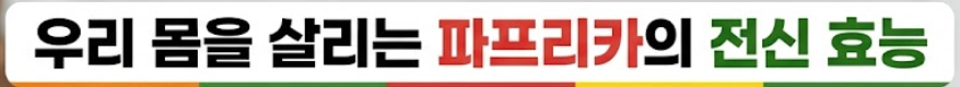 파프리카 효능