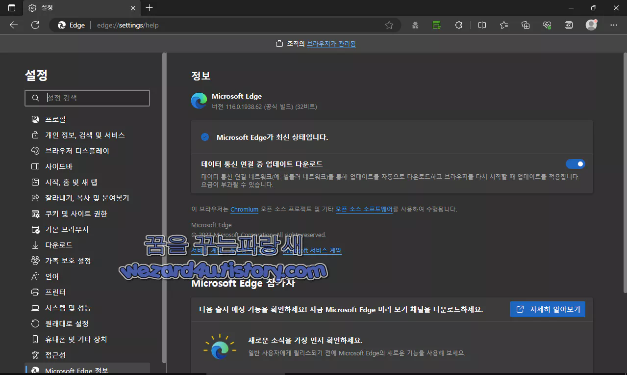 Microsoft Edge 버전 116.0.1938.62