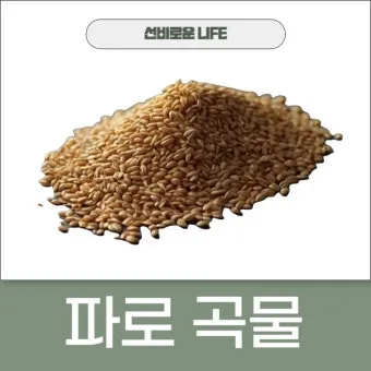 파로 곡물 효능 부작용 먹는 방법_11