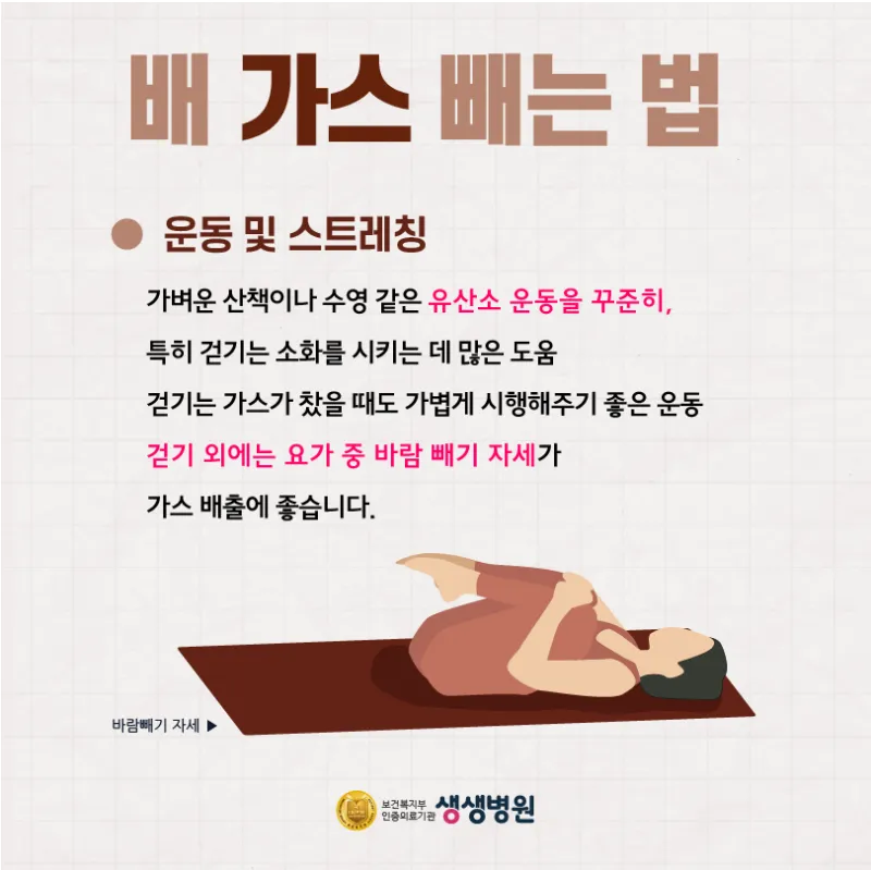 배에 가스가 차고 방귀를 자주 뀜 원인부터 해결책까지 한번에 알아보기_6