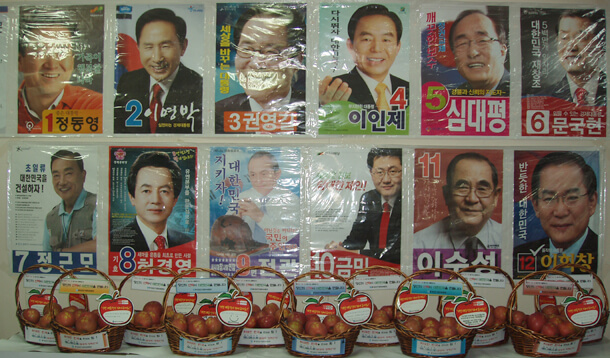 17대 대통령 선거 대선 후보 결과 득표율