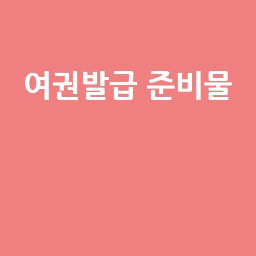 여권발급 준비물 체크리스트
