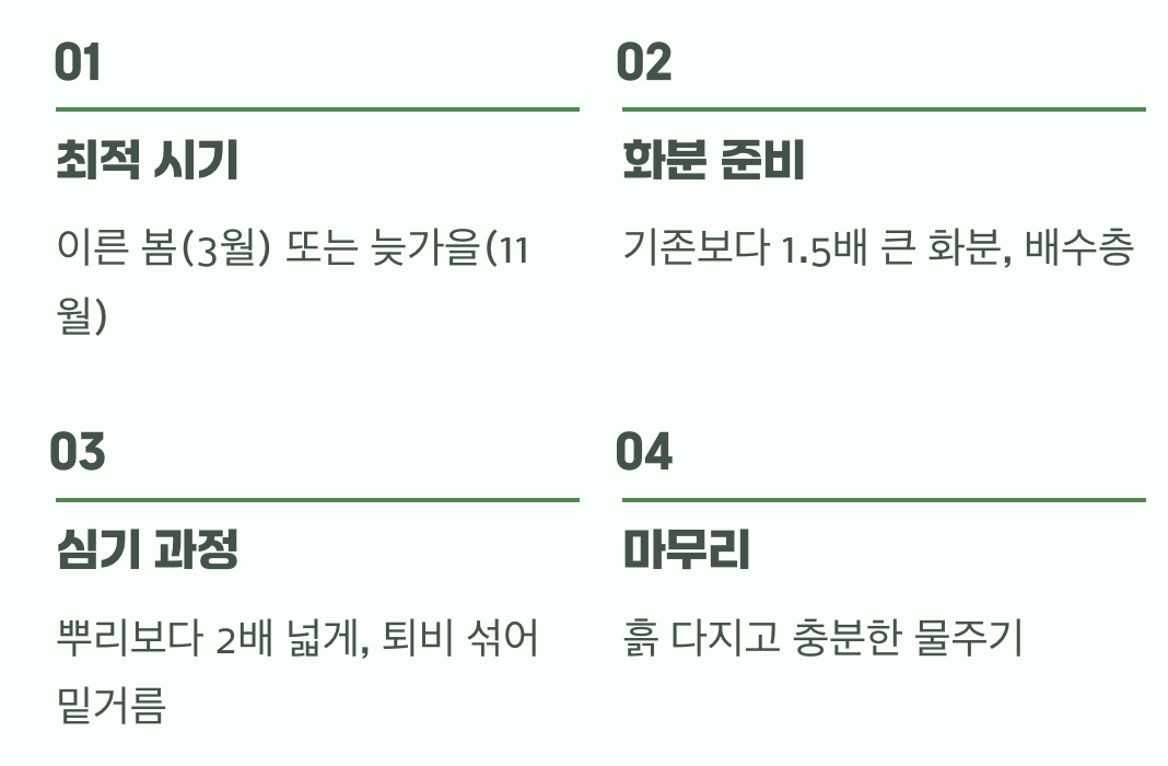 성공적인 첫걸음&amp;#44; 옮겨 심기