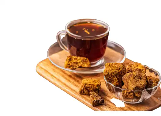 차가버섯 효능효과 영양성분 주의점