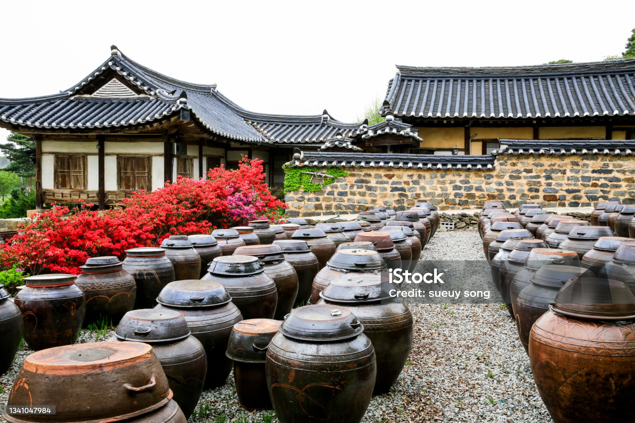 발효식품 관련 사진