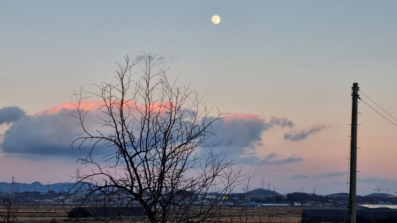 회색 하늘에 뜬 낮달, 회색 구름 가장 자리에 엷은 불그레한 노을빛, 가운데 나목 나뭇가지, 아래는 들판, 우측엔 전봇대,