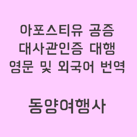 대사관인증대행