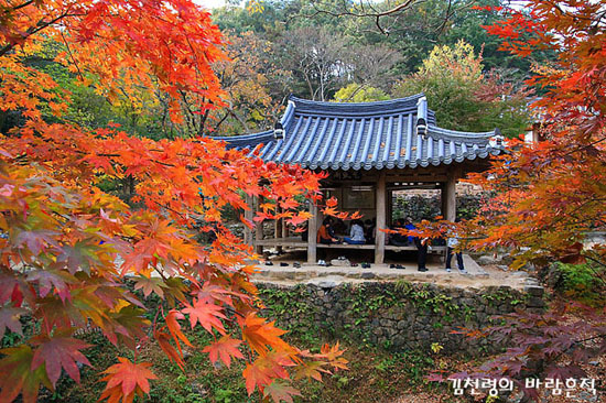 영월 1박 2일 여행 코스 확인하러 가기