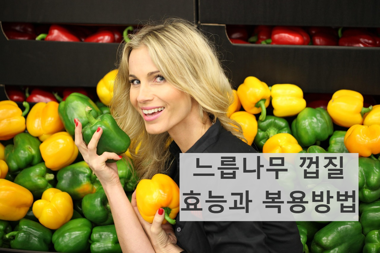 느릅나무 껍질 효능 활용법