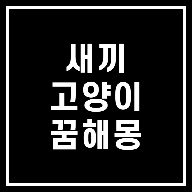 새끼 고양이 꿈 해몽 썸네일