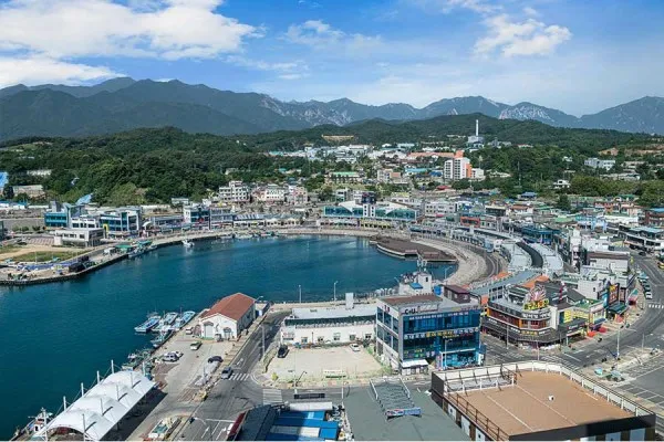 속초 대포항 맛집 추천 회센터 근처 인기 식당 리스트_7