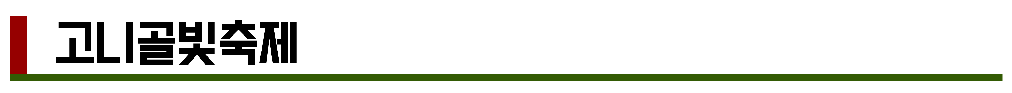 2024년 11월, 12월 축제 총정리