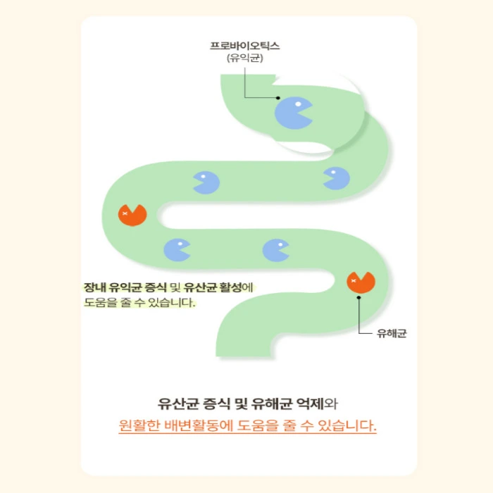 슬리맥스 유산균 내돈내산 후기 부작용 다이어트 효과 복용법