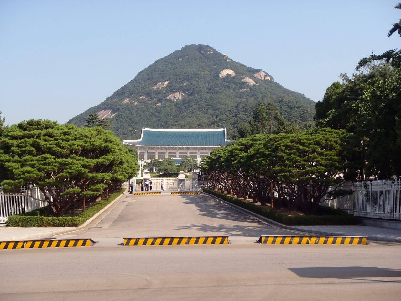 청와대