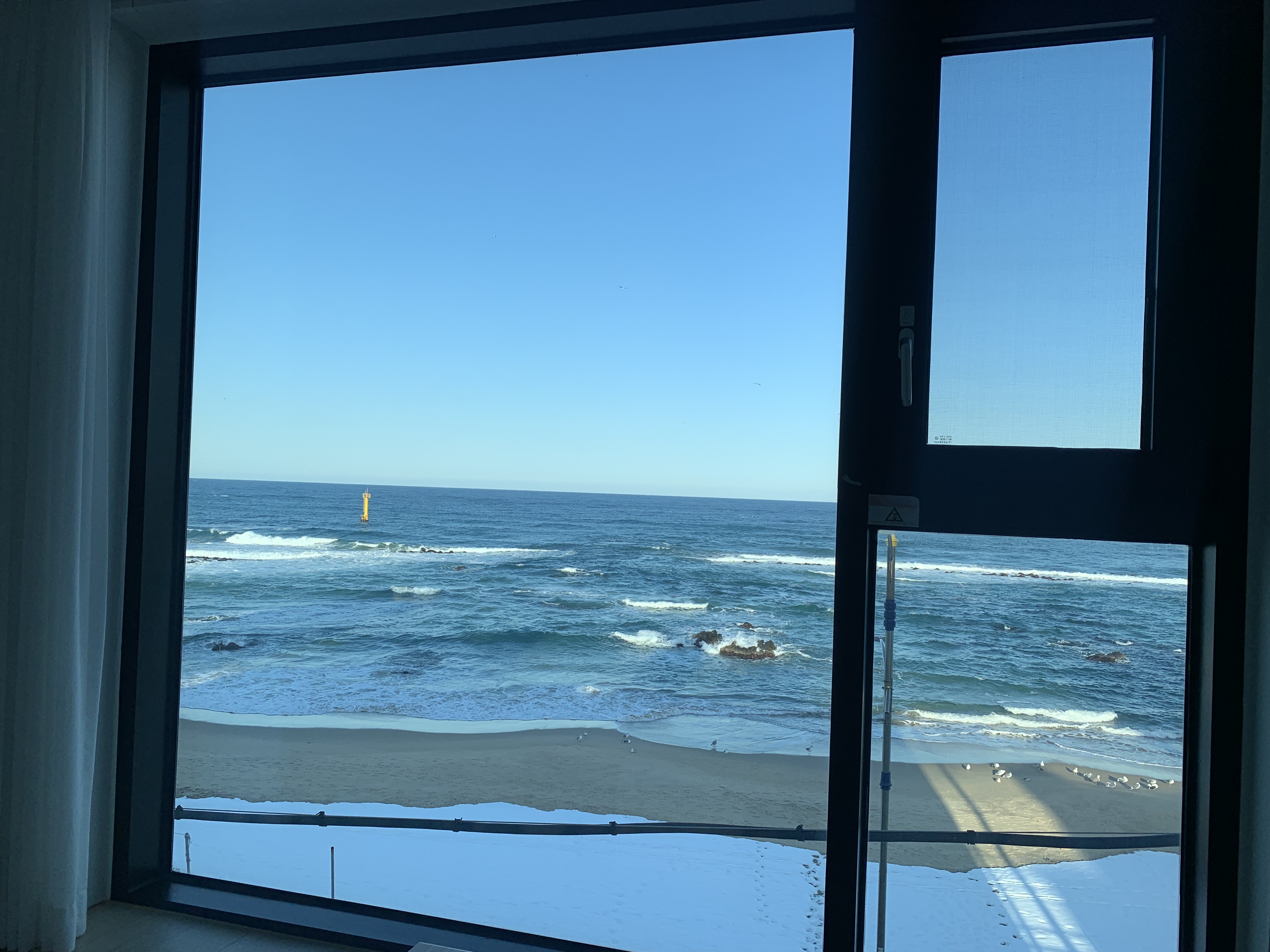 묵호 오션뷰 숙소 어달을담다 후기🌊 통창뷰에 청결까지 완벽한 펜션 추천!