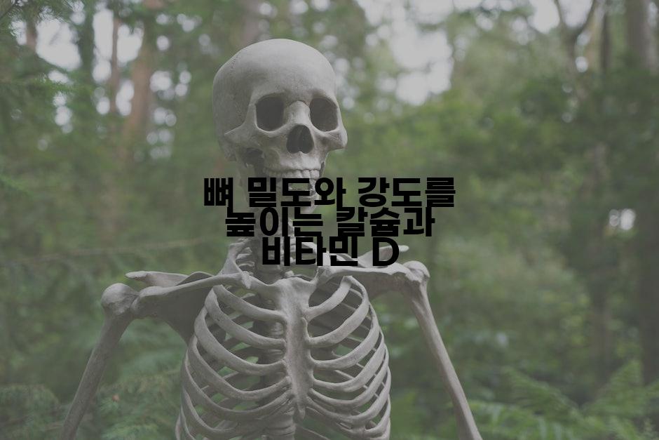 뼈 밀도와 강도를 높이는 칼슘과 비타민 D