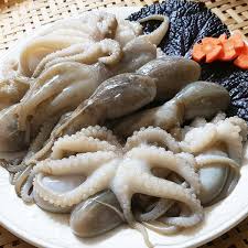 하얀 접시위의 쭈꾸미