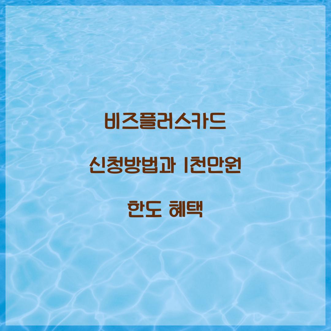 비즈플러스카드 신청