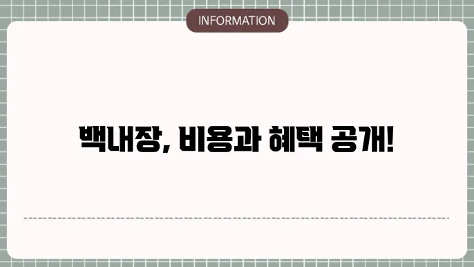 백내장 렌즈삽입술 비용: 