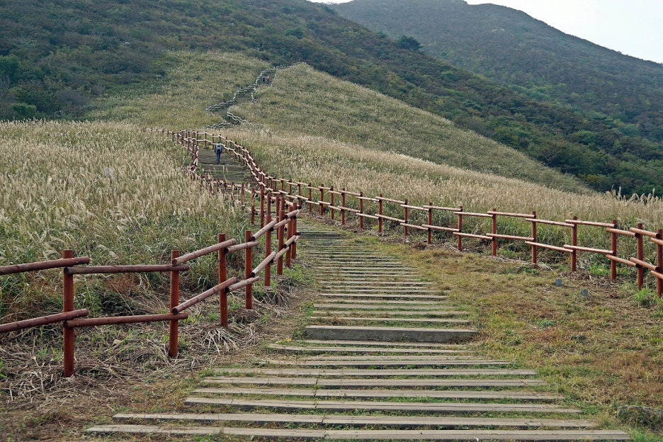 간월재 억새 풍경