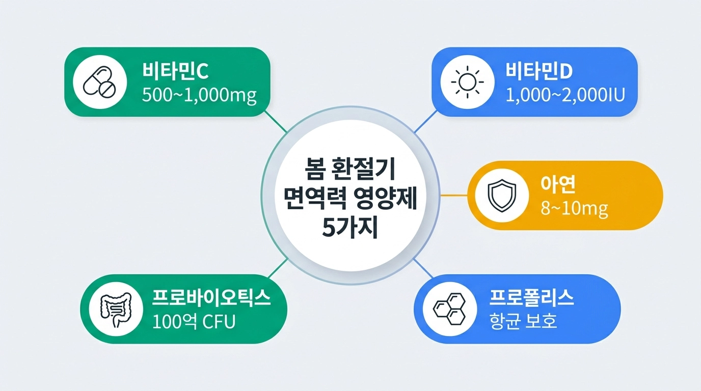 봄 환절기 면역력 영양제 추천 5가지 성분 비교 인포그래픽