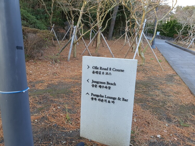 제주롯데호텔정원14