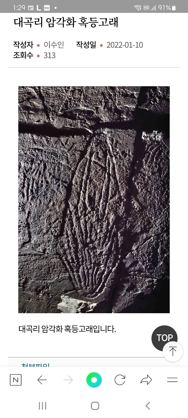 반구대 암각화 흑등고래