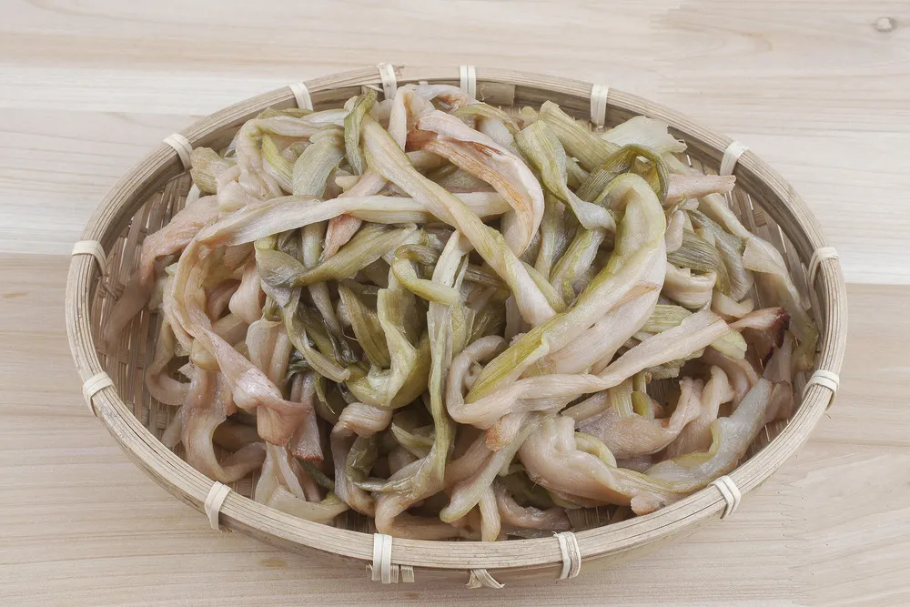 토란대줄기 수확시기토란대 말리는 방법까지 안내_5