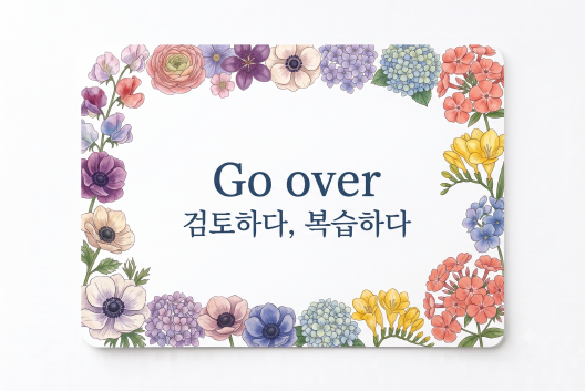 Go over 검토하다