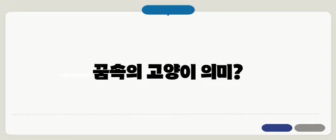 고양이 꿈 해몽