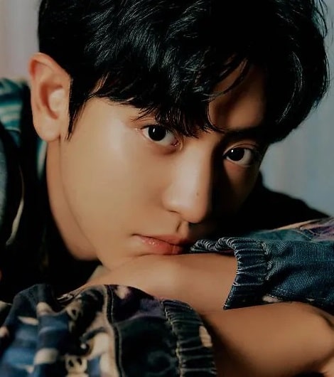 배우 찬열