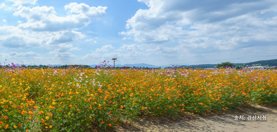 경산 가볼만한 곳 베스트 10 – 현지인 추천 명소 모음! (2025년 최신)