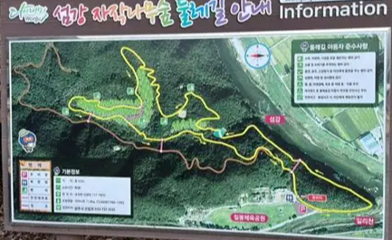 오르막 없이 평탄하게 걷는 강변 길! 원주 섬강 자작나무숲길 유모차·어르신 동반 코스 추천