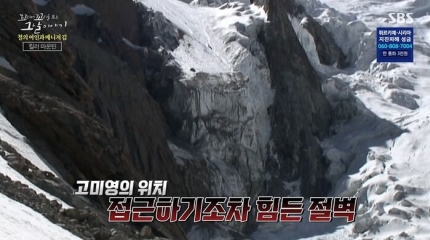 고미영