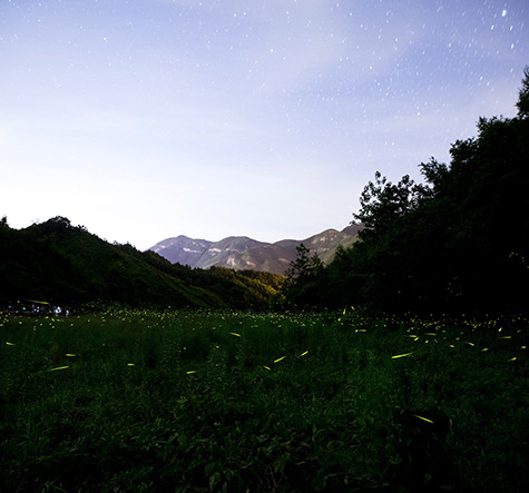 무주반딧불축제 일정&middot;예약&middot;체험까지 한눈에 확인하기