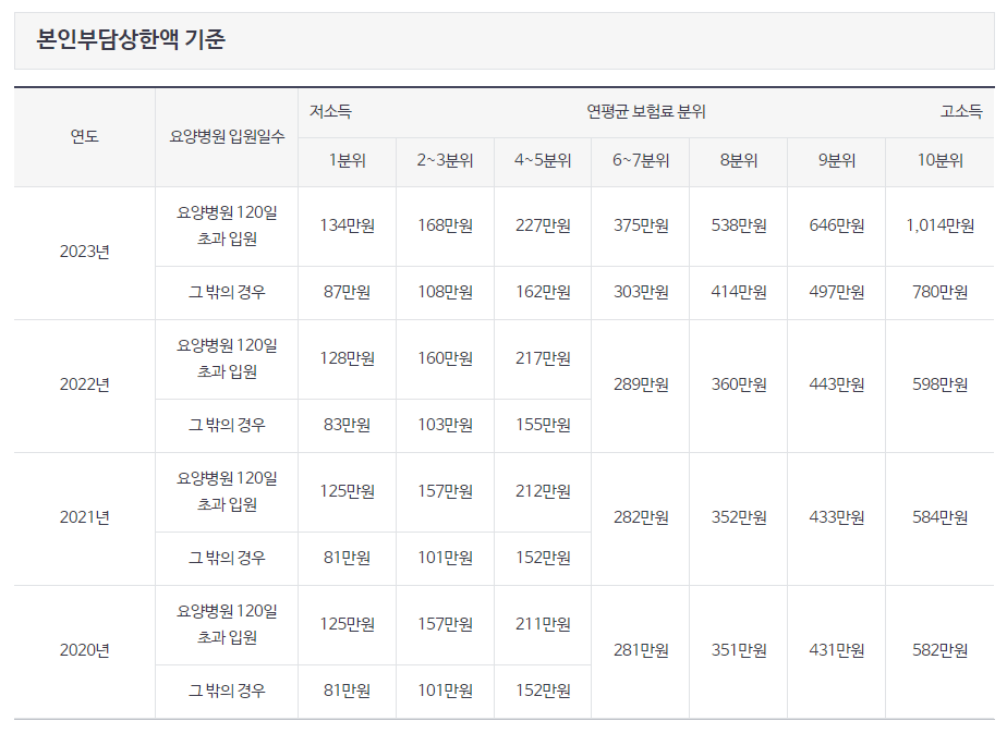 본인부담상한제