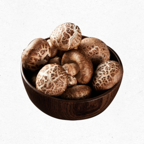 8월 제철버섯 표고버섯