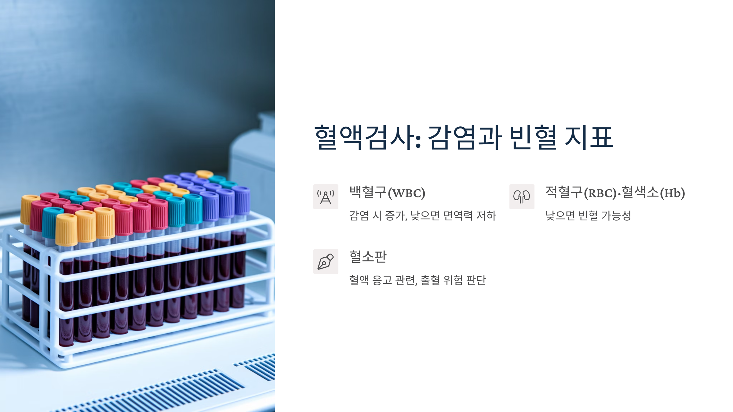 감염 및 빈혈 여부를 확인할 수 있는 혈액검사 지표를 설명하는 이미지입니다.