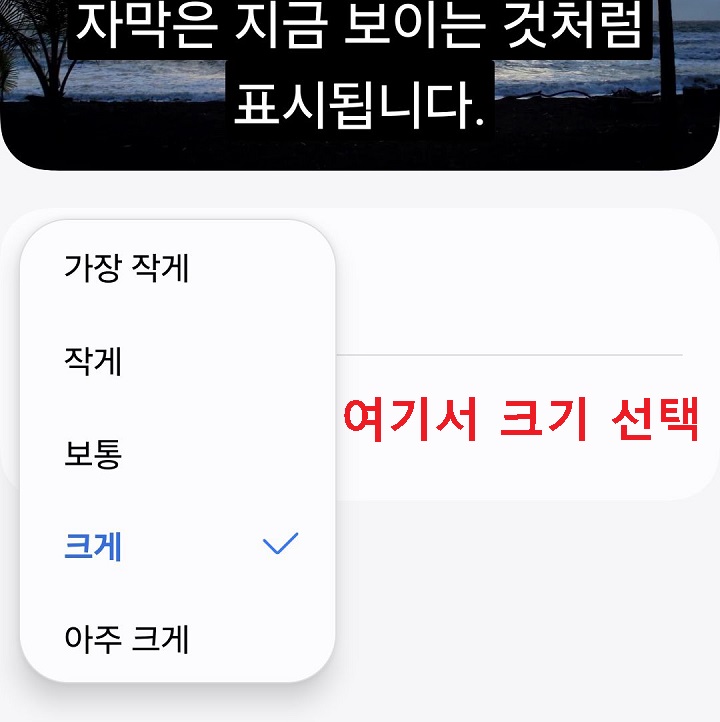 자막 크기 선택창 보임