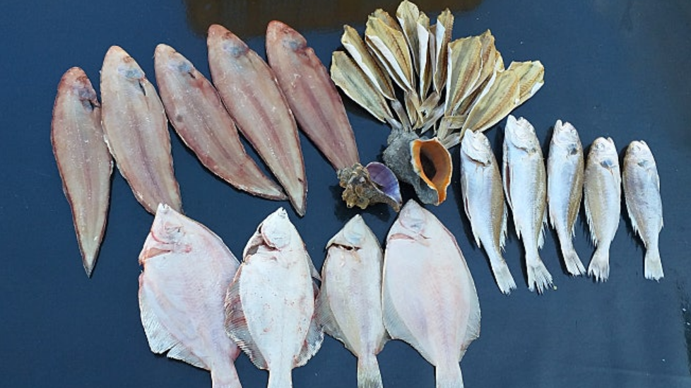 통영 생선 맛집 추도 민박 안내 