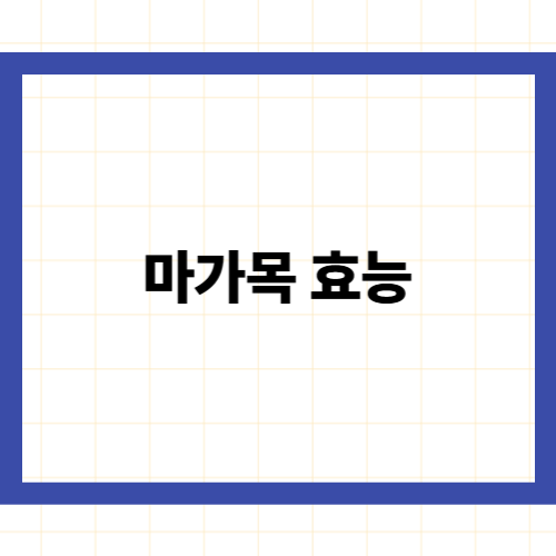 마가목 효능