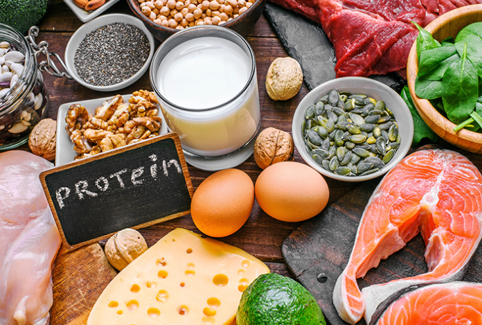 단백질 섭취의 중요성과 방법 관련 이미지
