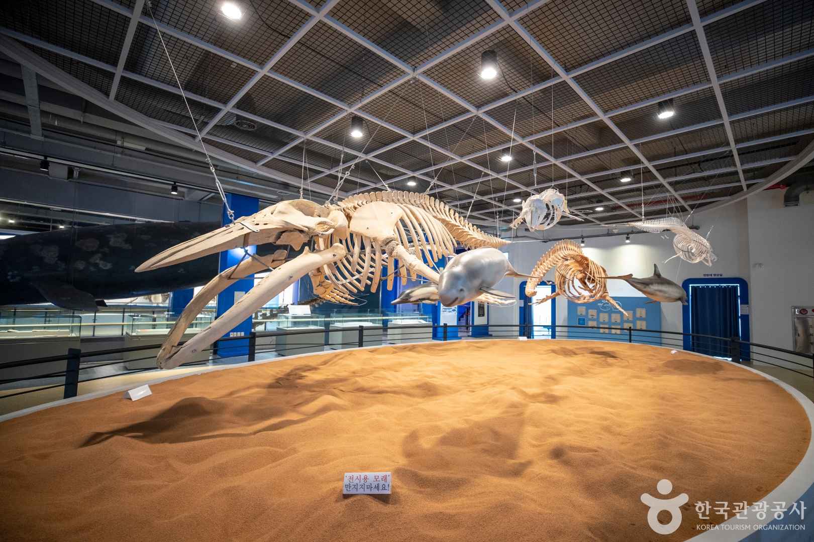 장생포 고래박물관